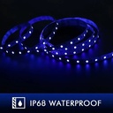 Cinta LED 5m 600 LEDs SMD3528 12V IP68 Azul