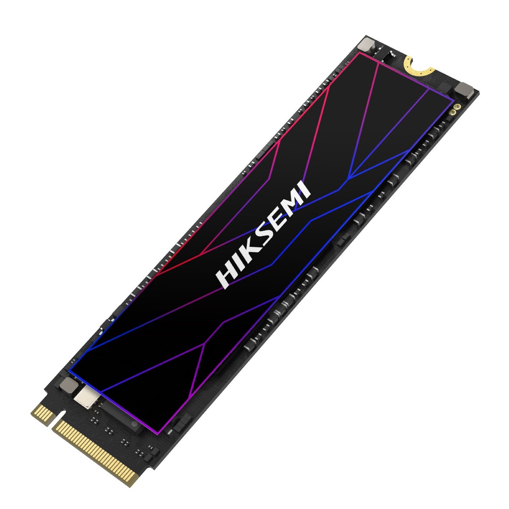 SSD INT NVME FUTURE LITE 1024G