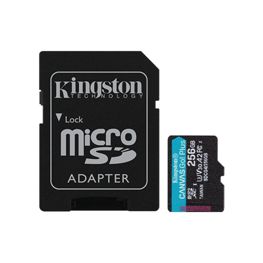 MICROSD 256GB CANVAS GO PLUS G