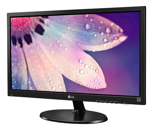 MONITOR 19