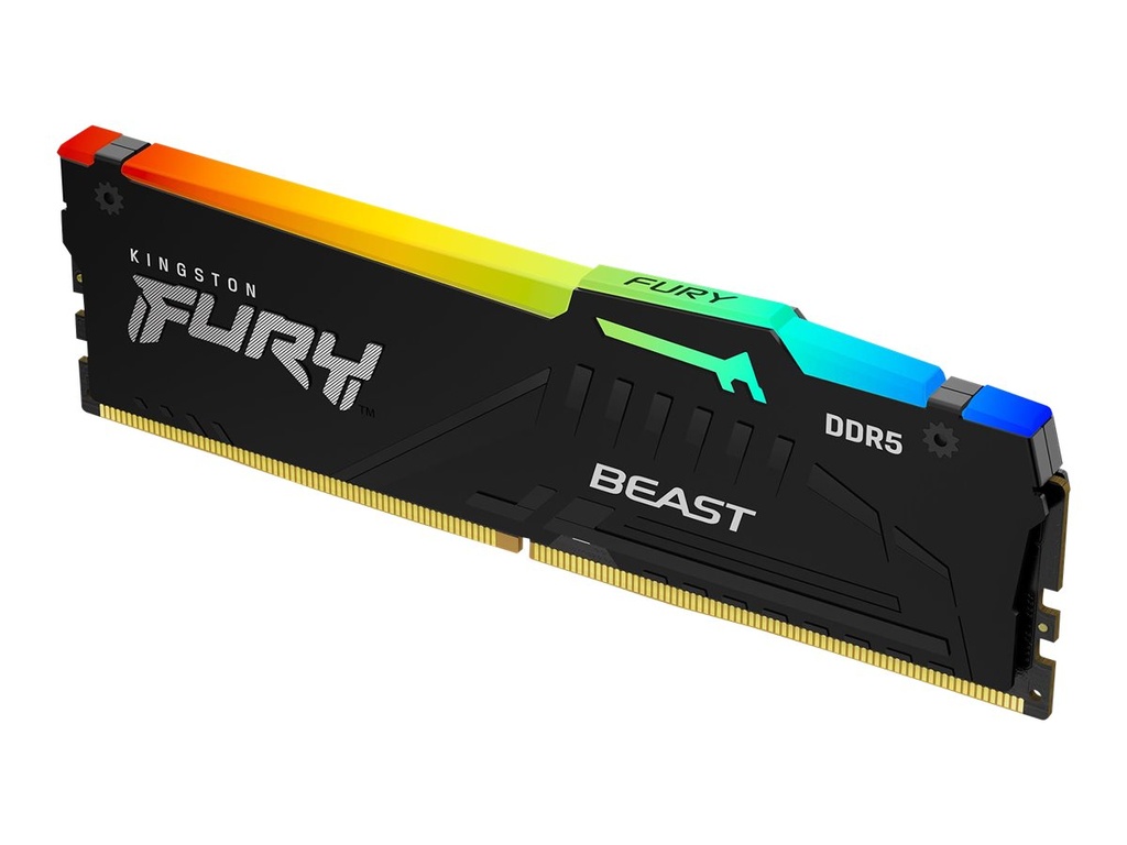 FURY Beast RGB