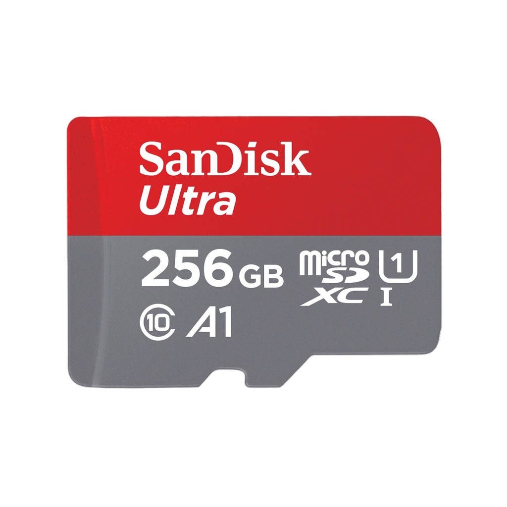 Memoria microSD 256GB Clase 10