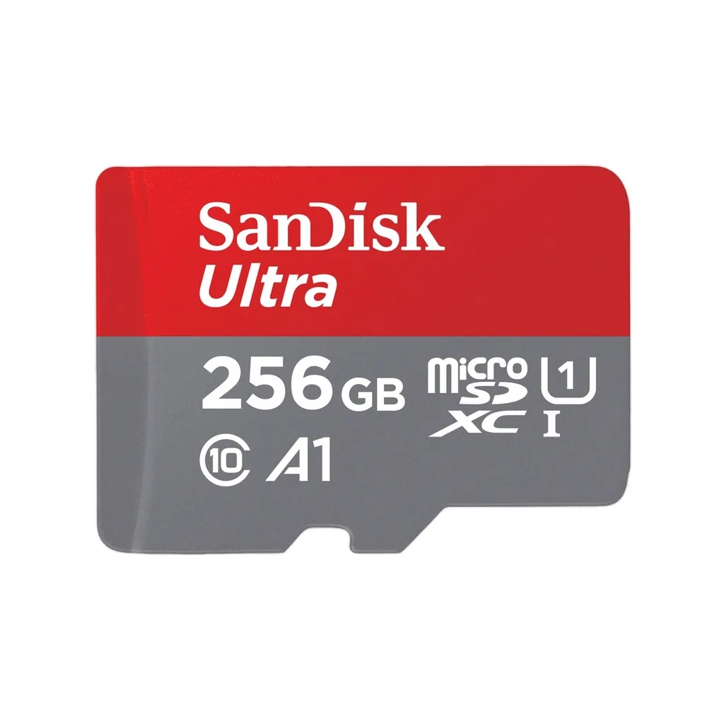 Memoria microSD 256GB Clase 10