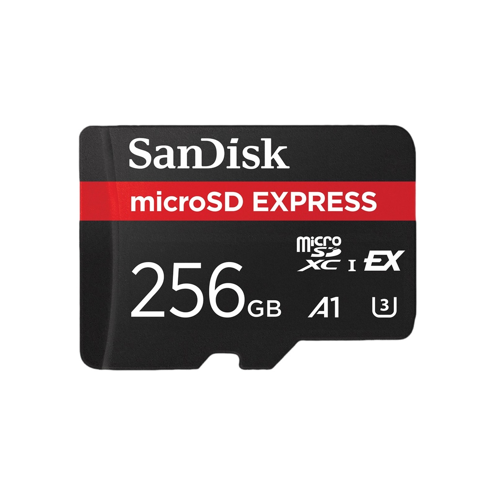 Tarjeta Cf 256GB