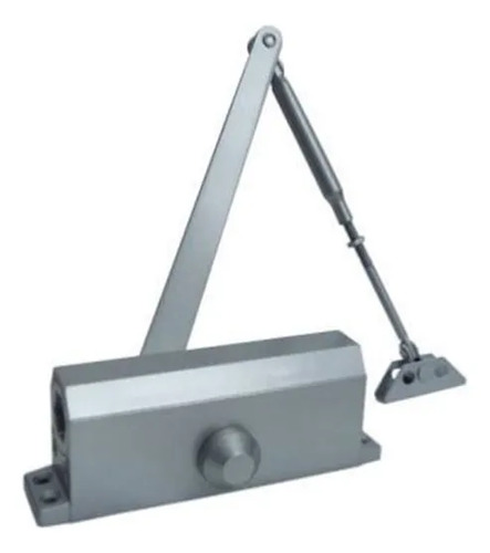 Cerrojo Eléctrico 80-100Kg C100