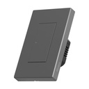 Interruptor WiFi 1 Gang 10A Gris