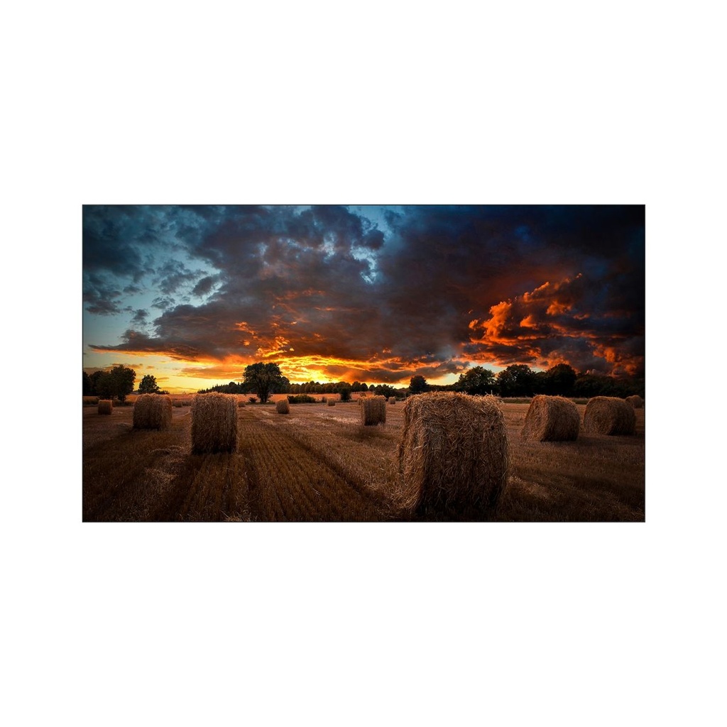 Pantalla LED 55" Samsung Vm55b-U Para Video Wall