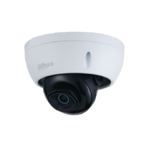 Cámara IP Domo Full Color 3,6 mm Ir10 Wize