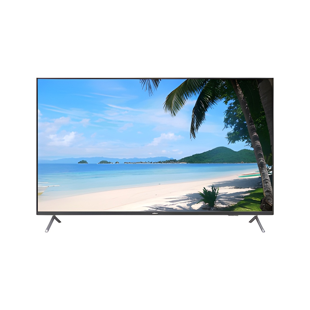 Monitor 55 Pulgadas
