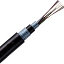 Cable De Fibra Óptica Monomodo 12 Hilos Exterior 1m Con Chaqueta Metálica