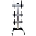 Soporte De Pared Para TV 55 Pulgadas 120 Kg Con Rueda