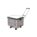 Carro Plegable De 4 Ruedas