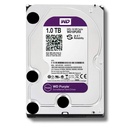 Disco duro de 1TB purple Western Digital - General Security