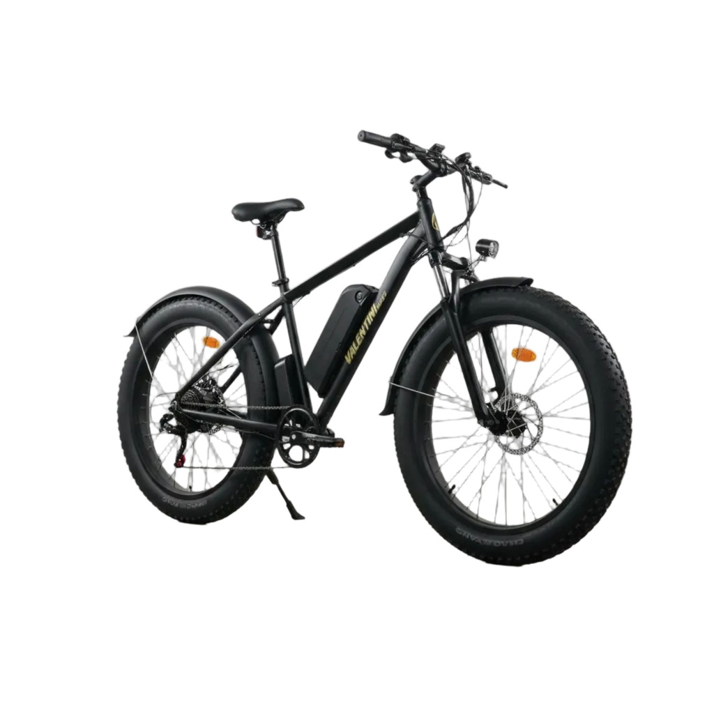 Bicicleta Eléctrica 1000W 48V 31.2Ah 50km/h Ip54 150kg 54.1kg