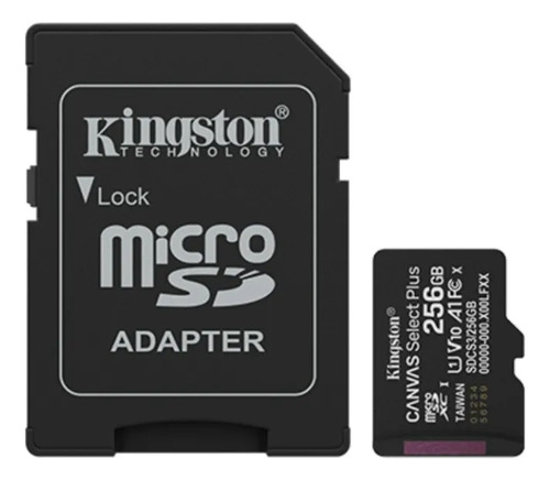 Memoria MicroSD UHS-I 256GB Classe 10