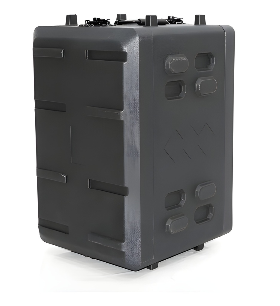 Rack Carrión Portátil 6U 290mm Con Manijas