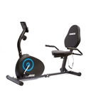 Bicicleta Fija Recumbent Horizontal Magnética 8 Niveles