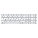 TECLADO