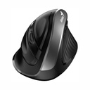 Mouse Genius Ergo inalámbrico silver