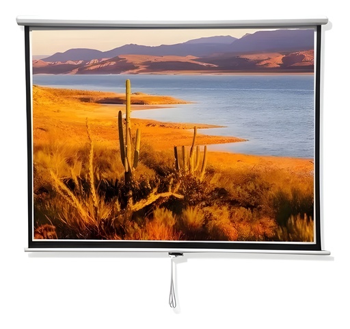 Pantalla De Proyección 84