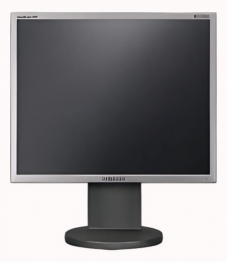 Monitor LCD 19