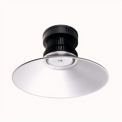 Lámpara LED MyConnection Industrial | 100W, Luz Fría