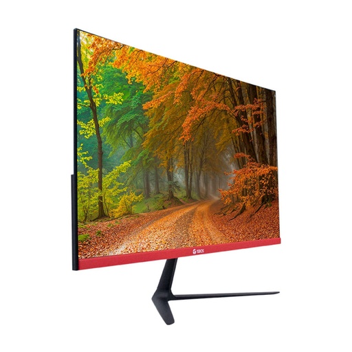 Monitor Gamer